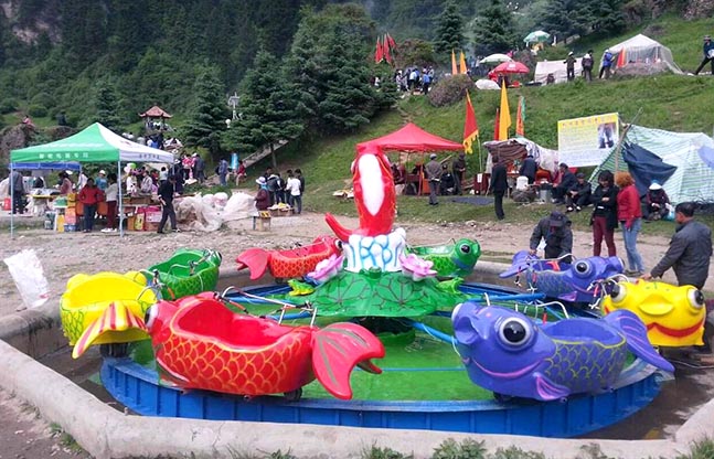 鲤鱼跳龙门设备