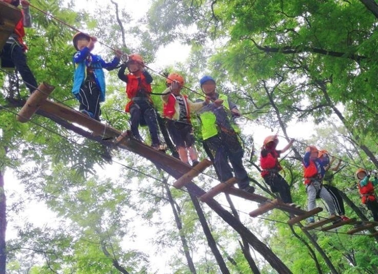 丛林穿越游乐设备